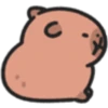 Capybaba 5
