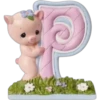 ABC Animales ( Pedido) 8