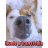 Stickers Contra el Odio I 6