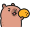 Capybaba 6