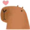 Capybaba 7