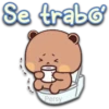 Se trabo Persy