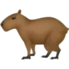 Capybaba 8