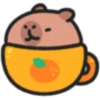 Capybaba 9