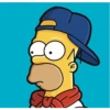 Homer 8
