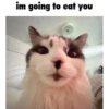 im going to eat you
m
11111