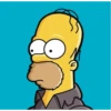 Homer 11