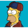 Homer 14