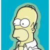 Homer 18