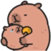 Capybaba 10