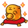 Capybaba 11