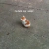kitty memes 19