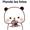 bubu amor 22