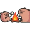 Capybaba 12