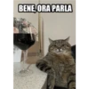 Cringe ITA 17