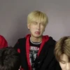 Stray kids - mostly Han 20