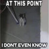 AT THIS POINT I DONT EVEN KNOW