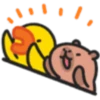 Capybaba 14