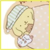 Pompompurin ✺2 18