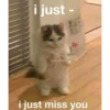 i just -
wholesomepages.x
i just miss you