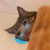 Sad Cats 15