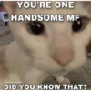 YOU'RE ONE
HANDSOME MF
@softcatmemes
DID YOU KNOW THAT?