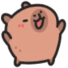 Capybaba 15