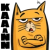 K
A
A
N
N
442