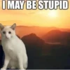 I MAY BE STUPID