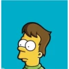 Homer 25