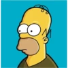 Homer 26