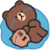 Capybaba 16