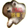 HK Lion King 仔仔 2 27