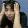 Stray kids - mostly Han 28
