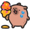 Capybaba 17