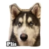 Husky Logan & friends 28