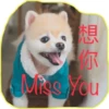 HK Lion King 仔仔 2 30