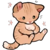 D.S