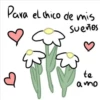Para el chico de mis
sueños
te
amo