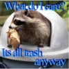Raccoon Vol. 3 5