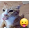 kitys 8