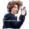 timothee 8