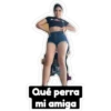 Qué perra
mi amiga