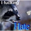 Raccoon Vol. 3 8