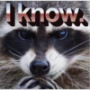 Raccoon Vol. 3 9