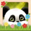 Panda 2 Clásica 10