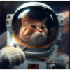 2Gatos Gatitos 11