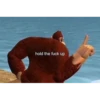 hold the fuck up