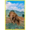 Baby Cute Elephant ✺1 16