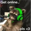 Raccoon Vol. 3 14